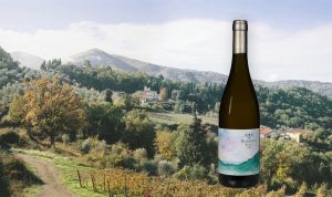 Tenuta-La-Novella-Toscana-bianco-Sambrena-2019