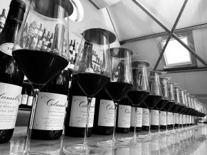 The Golden Vines® Awards 2022: The Sadie Family Wines vince The VistaJet Golden Vines® World’s Best Rising Star Award.