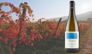 Clochard di La Calcinara: vino bianco che nasce "sotto lo stesso cielo" di grandi vini rossi