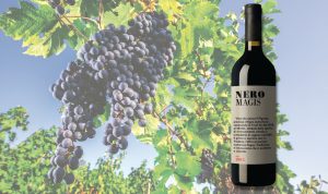 Nero Magis, vino rosso intenso e corposo